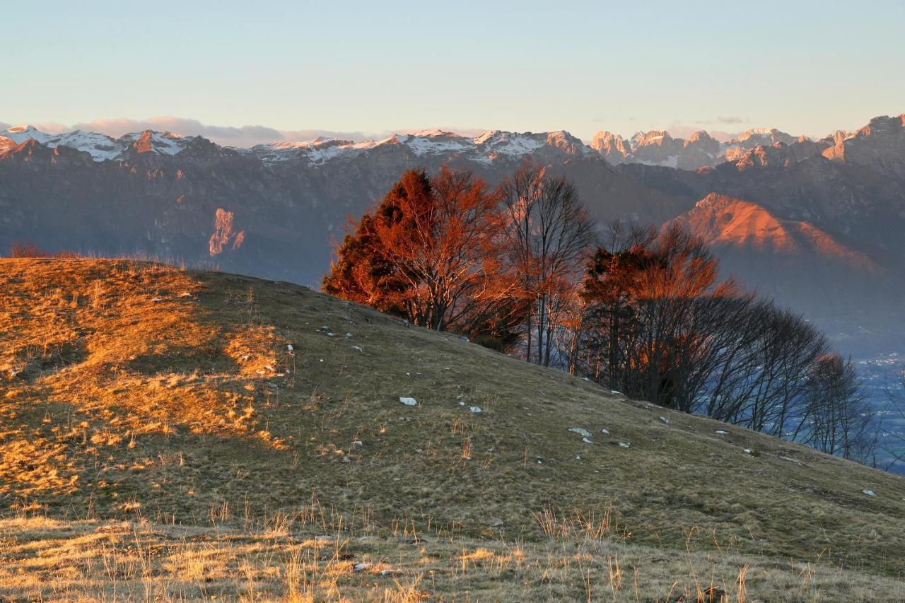 Agriturismo Riva Dei Coz Sequsino Zewnętrze zdjęcie