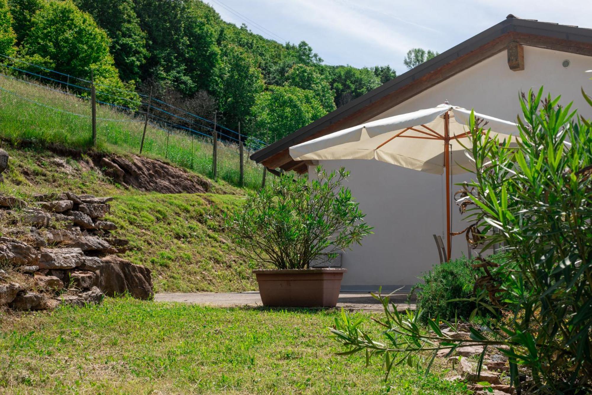 Agriturismo Riva Dei Coz Sequsino Zewnętrze zdjęcie